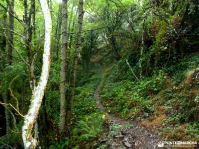 El Bierzo;Busmayor;León;caminando por la vereda del sol retiendas ribeira sacra galicia